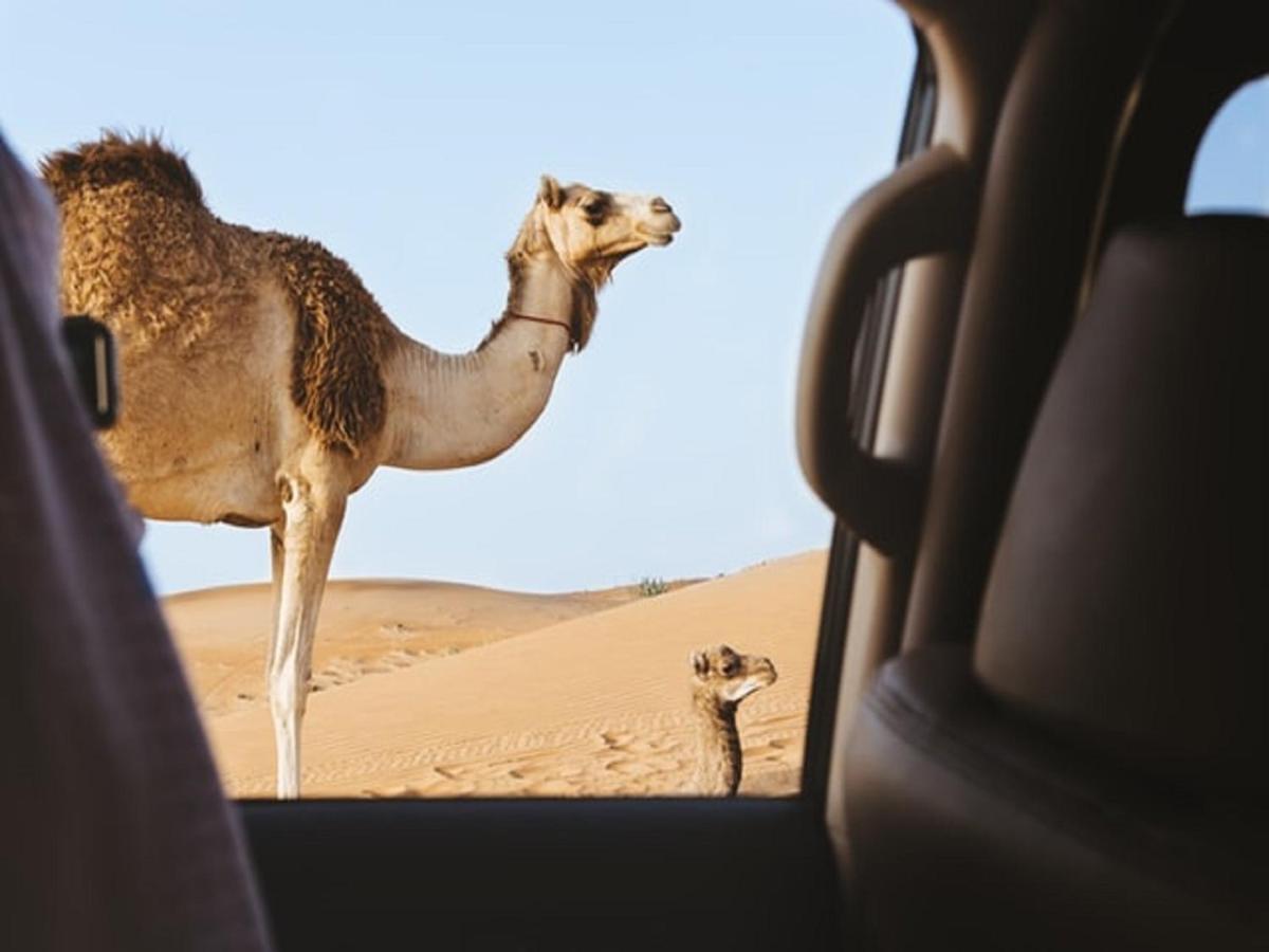 M'Hamid Desert Camp Tours Buitenkant foto