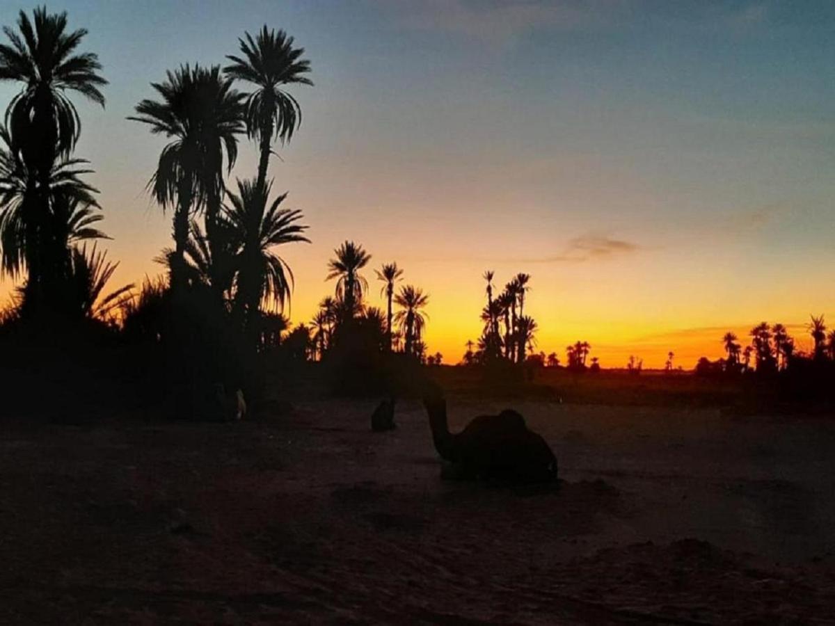 M'Hamid Desert Camp Tours Buitenkant foto